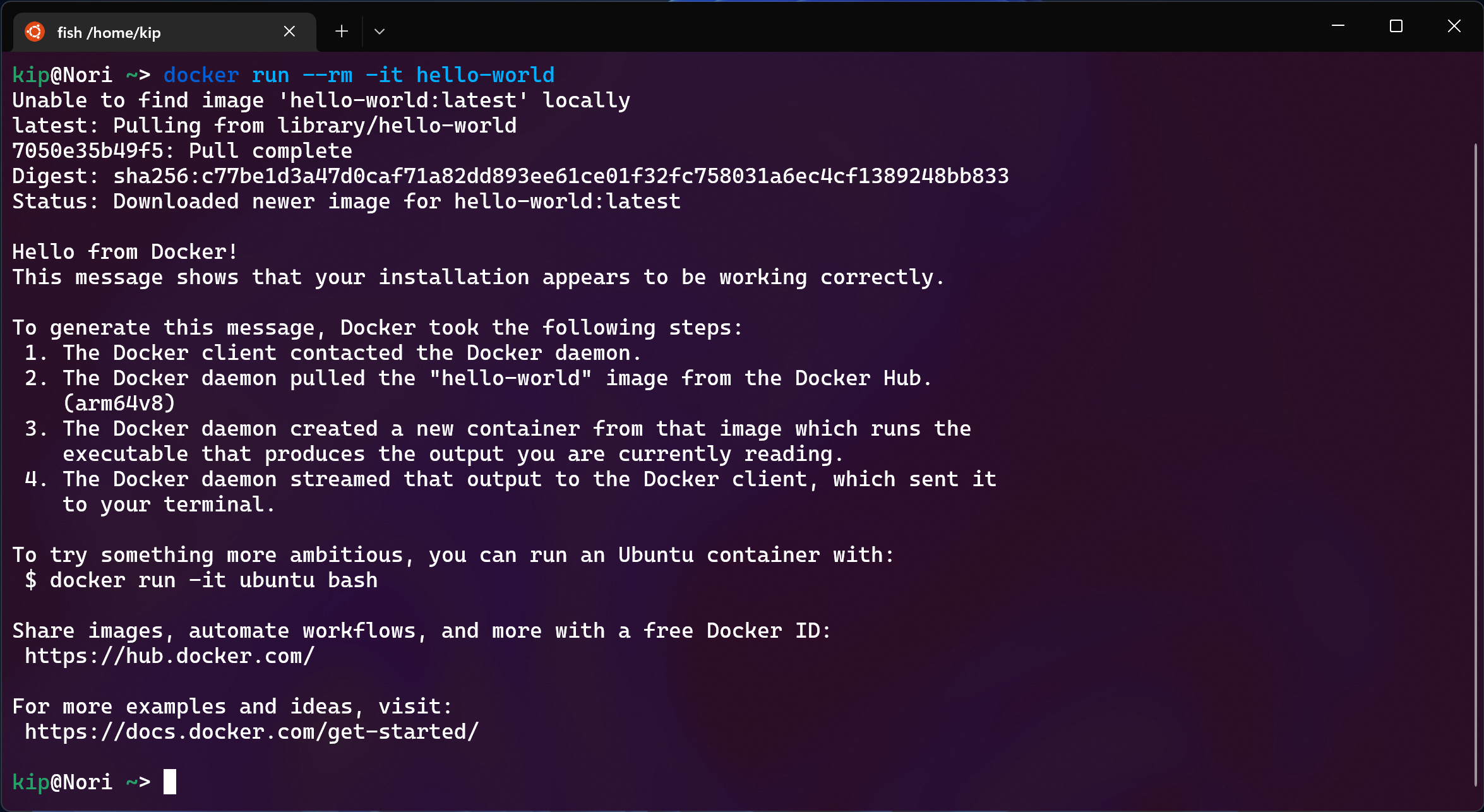 &ldquo;Docker hello-world image&rdquo;